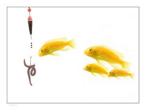 讲透关务管理的投入产出